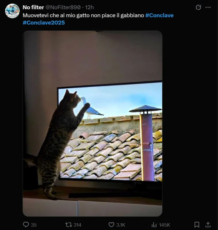 Mreže gore od urnebesnih memeova s konklave: Galeb novi papa, kardinali peku roštilj...
