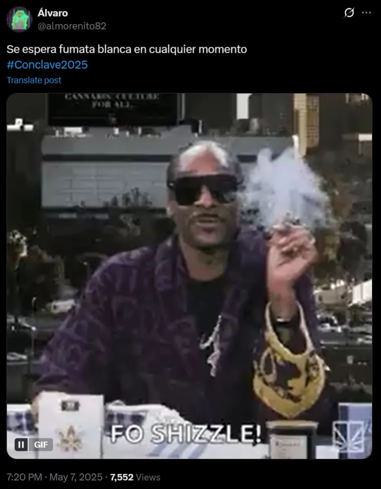 Mreže gore od urnebesnih memeova s konklave: Galeb novi papa, kardinali peku roštilj...