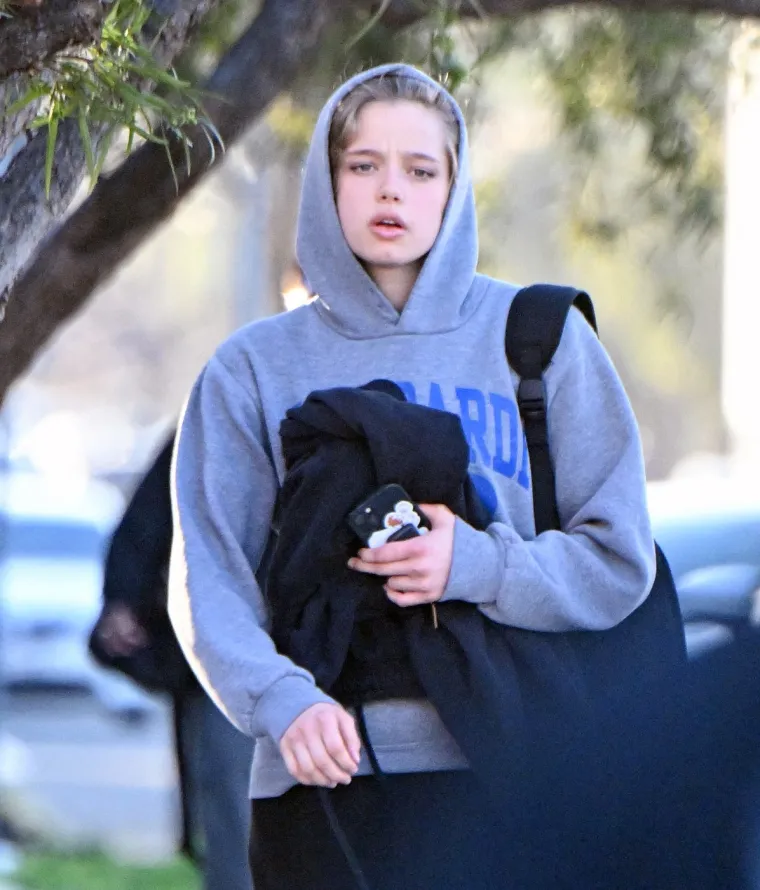 Od djevojčice koja želi promijeniti spol do mlade djevojke nalik majci: Kako se mijenjala Shiloh Pitt