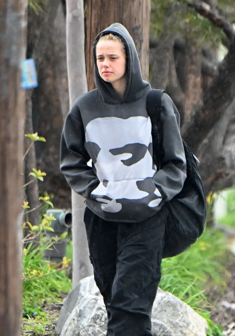 Od djevojčice koja želi promijeniti spol do mlade djevojke nalik majci: Kako se mijenjala Shiloh Pitt