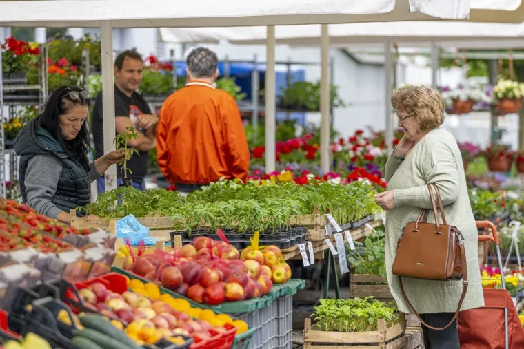 Mladi par zasjao na &scaron;pici: Sve oči bile su uprte u zaljubljene Karlovčane