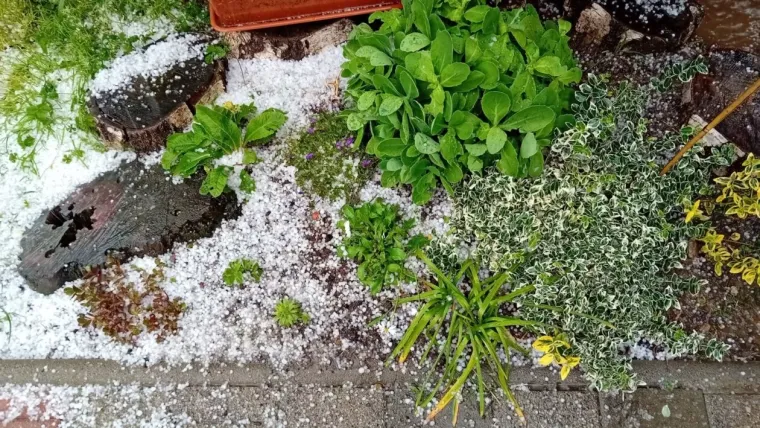 Jaka tuča pogodila je Međimurski kraj, poljoprivrednici već zbrajaju štetu
