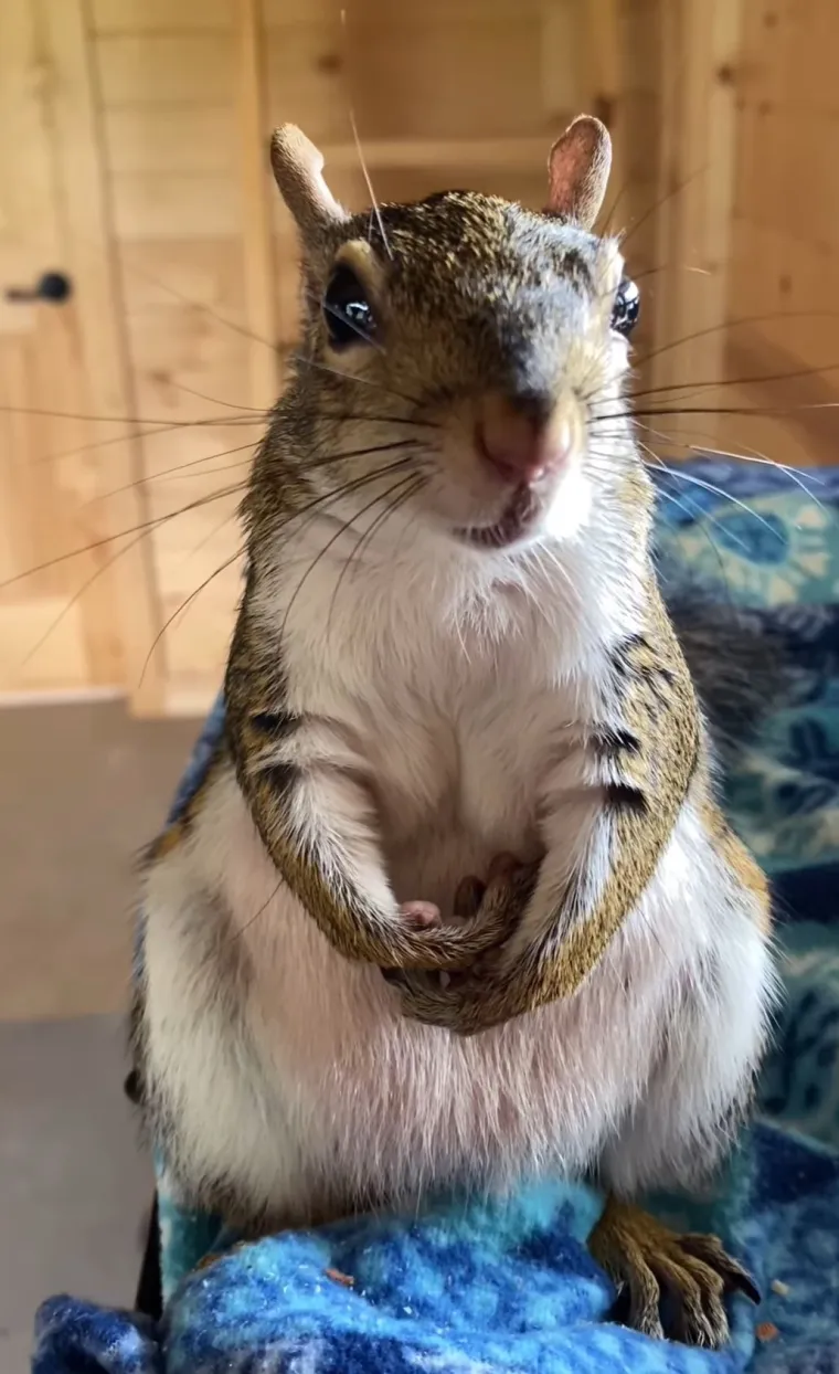 Lory s veseljem odgovara na upite, a jedan od njih odnosio se na navike obavljanja nužde.