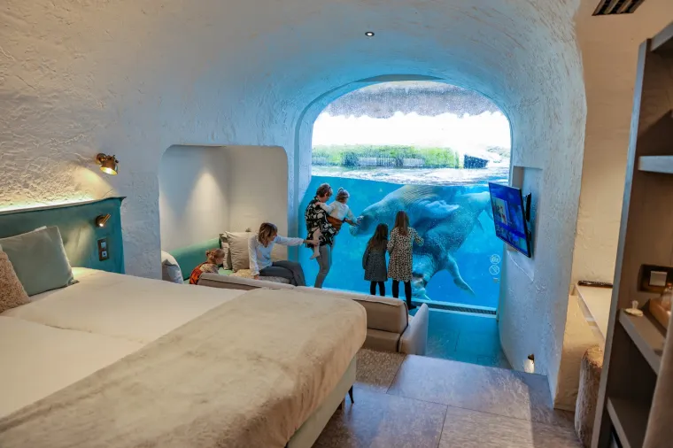 Pokrenut 2019. godine, Pairi Daiza unio je revolucionarnu inovaciju u belgijski i svjetski hotelski sektor, te postao pionir u spajanju luksuznog smještaja s intimnim doživljajem divljine.