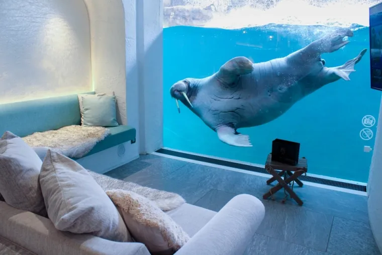 Pairi Daiza Resort nije samo mjesto za noćenje, to je pozivnica za duboko uranjanje u čaroban svijet prirode i životinja, iskustvo koje stvara uspomene za cijeli život.
