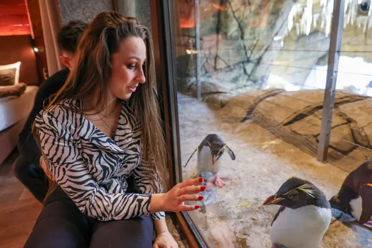 Ovaj spoj avanture, edukacije i očuvanja prirode pretvara snove u stvarnost za posjetitelje diljem svijeta, te time potvrđuje zašto Pairi Daiza redovito osvaja titulu &quot;Najboljeg zoološkog vrta u Europi&quot;.