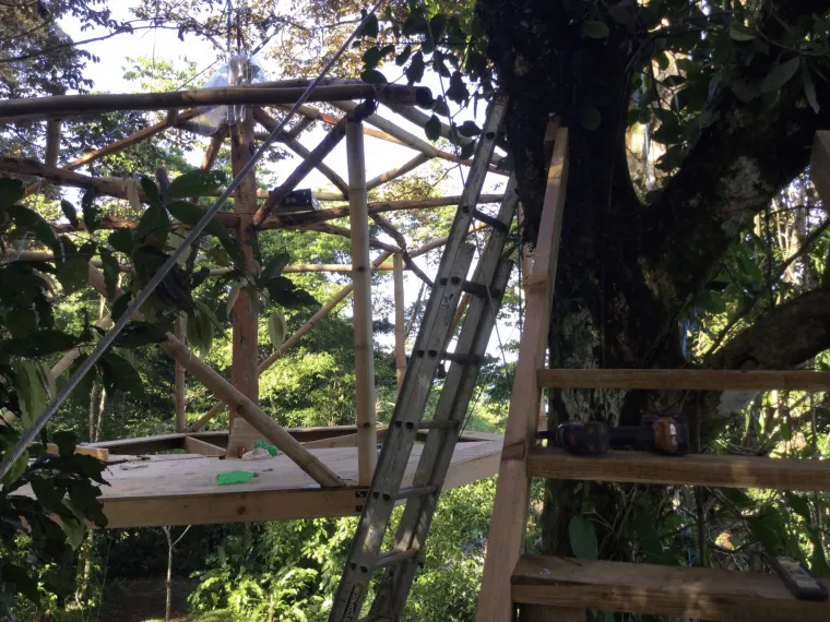 JUNGLE TREE HOUSE - Nevjerojatne fotografije i videozapisi otkrivaju britanski ručno izrađenu egzotičnu kuću na drvetu, visoko među krošnjama bujne džungle, koja vam može biti dostupna već za samo 100 eura po noći. 