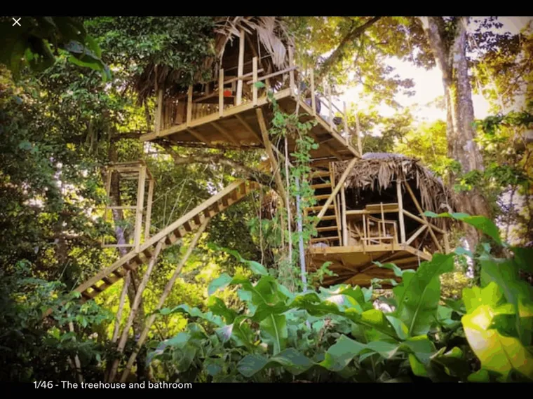 JUNGLE TREE HOUSE - Zadivljujuće fotografije prikazuju drvenu konstrukciju smještenu visoko u krošnjama, s prekrasnim pogledom na Karipsko more koje je udaljeno samo nekoliko minuta hoda preko ceste.