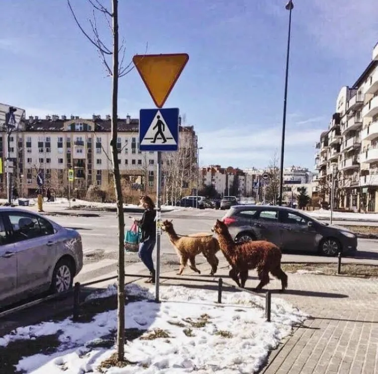 To nije država, to je stanje uma: Neki od ovih prizora će vas nasmijati, a neki ostaviti bez riječi