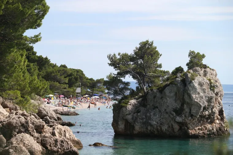 Punta Rata (Brela):  Okružena je borovom šumom.