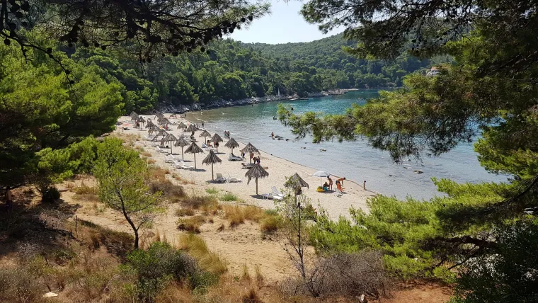 Saplunara (Mljet): Dvije pje&scaron;čane plaže (Velika i Mala Saplunara) na jugoistoku Mljeta, okružene gustom borovom &scaron;umom. 
