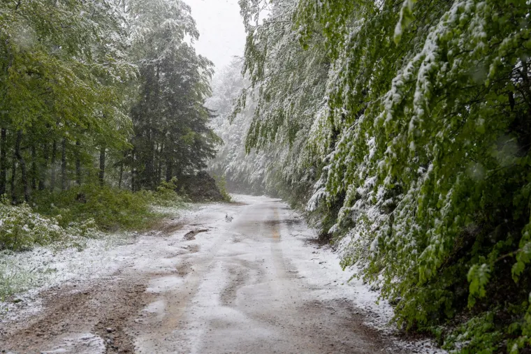 Nevjerojatni prizori s Velebita: Snijeg neočekivano zabijelio planinu