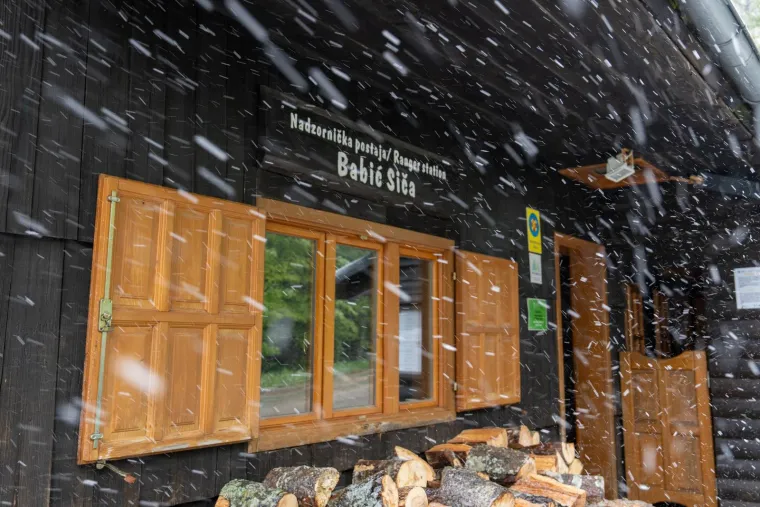 Nevjerojatni prizori s Velebita: Snijeg neočekivano zabijelio planinu