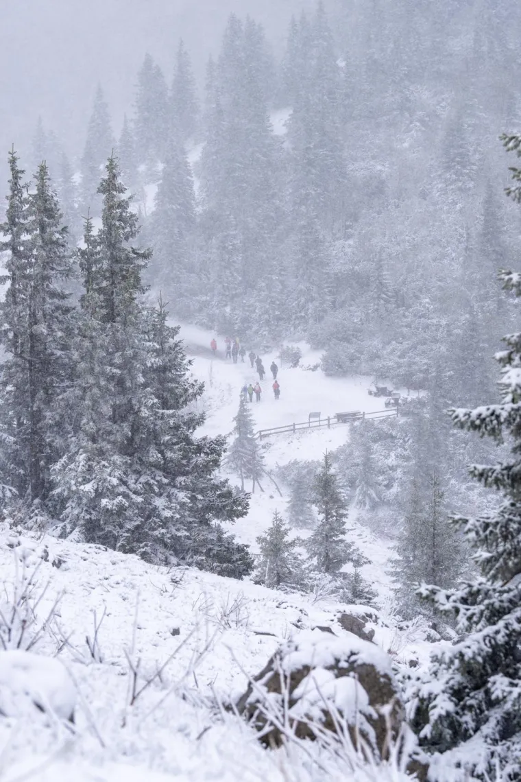 Nevjerojatni prizori s Velebita: Snijeg neočekivano zabijelio planinu