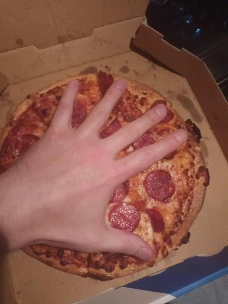 Koliko daleko je to otišlo pogledajte u sljedećoj galeriji, koju su nam omogućili bijesni korisnici Reddita iz cijelog svijeta, pa tako i ovaj nesretnik kojem su donijeli pizzu veličine dlana.