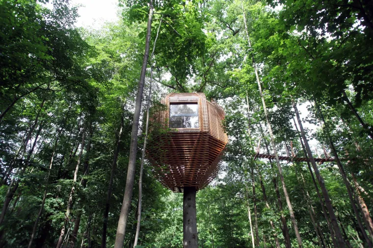 TREE HOUSE HOTEL - Zapanjujući snimci prikazuju ovu drvenu kućicu od 23 četvorna metra, smještenu visoko među krošnjama drveća, s drvenim mostom koji vodi do ulaza. 