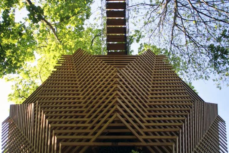 TREE HOUSE HOTEL - Unutrašnjost je jednako impresivna – veliki hrast oblikuje prostor oko krevetne veličine king size i dnevnog boravka s pogledom kroz ogromni prozor na šumu. Osmislio ga je arhitektonski tim Atelier LAVIT za klijenta &quot;Cabanes Nature et Spa&quot;.