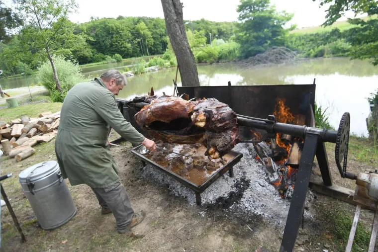 Ovako se u Hrvatskoj slavi Dan državnosti: Od izložbe oružja na Jarunu do vola s ražnja u Grubi&scaron;nom Polju