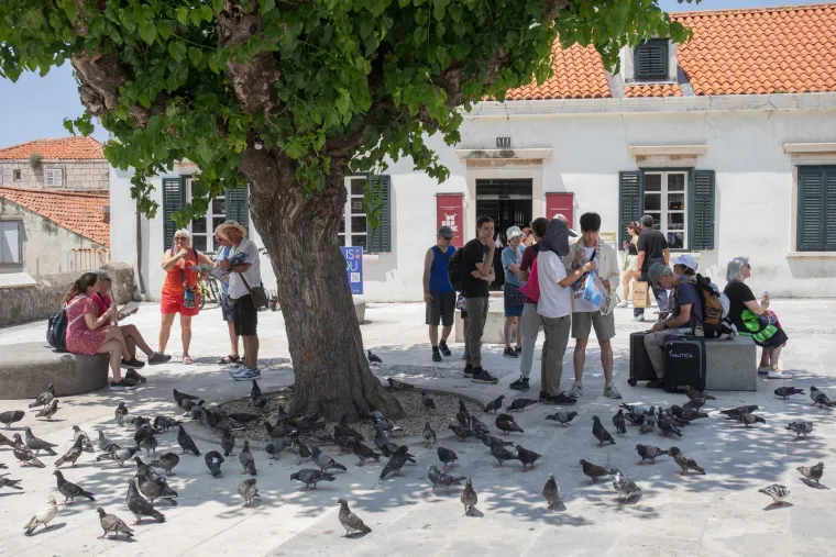 Padaju temperaturni rekordi, plaže su krcate: Pogledajte kako se rashlađuju u Dubrovniku