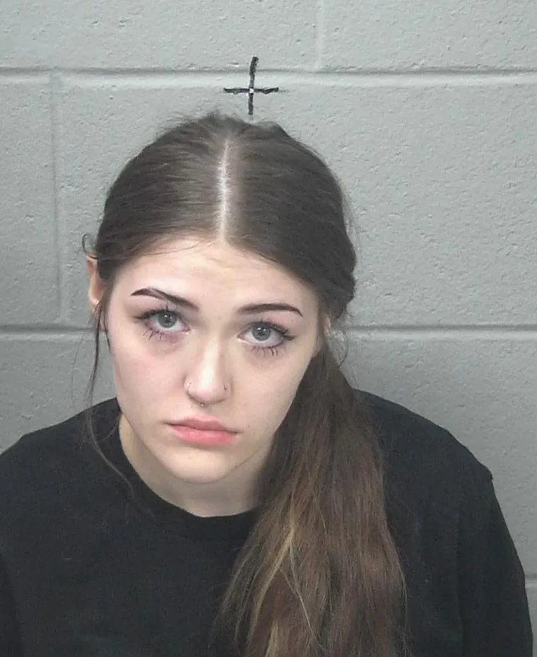 Tek smo u lipnju, a već možemo organizirati izbor za Miss djevojke koju je policija vezala lisicama