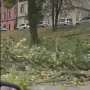 Nevrijeme protutnjalo dijelom Hrvatske: Pogledajte nevjerojatne prizore iščupanih stabala