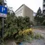 Nevrijeme protutnjalo dijelom Hrvatske: Pogledajte nevjerojatne prizore iščupanih stabala