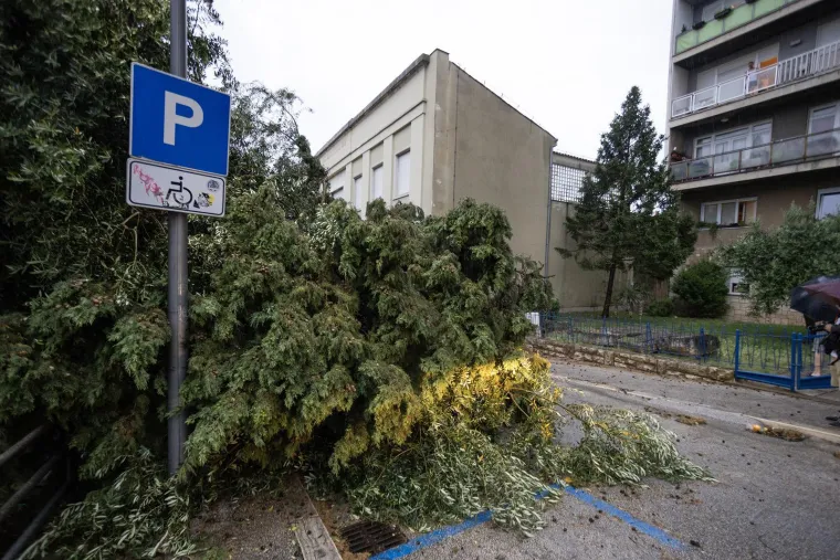Nevrijeme protutnjalo dijelom Hrvatske: Pogledajte nevjerojatne prizore iščupanih stabala