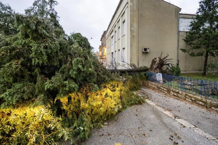 Nevrijeme protutnjalo dijelom Hrvatske: Pogledajte nevjerojatne prizore iščupanih stabala