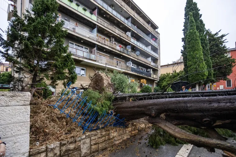 Nevrijeme protutnjalo dijelom Hrvatske: Pogledajte nevjerojatne prizore iščupanih stabala