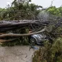 Nevrijeme protutnjalo dijelom Hrvatske: Pogledajte nevjerojatne prizore iščupanih stabala