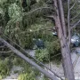 Nevrijeme protutnjalo dijelom Hrvatske: Pogledajte nevjerojatne prizore iščupanih stabala