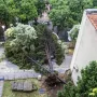 Nevrijeme protutnjalo dijelom Hrvatske: Pogledajte nevjerojatne prizore iščupanih stabala