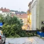 Nevrijeme protutnjalo dijelom Hrvatske: Pogledajte nevjerojatne prizore iščupanih stabala