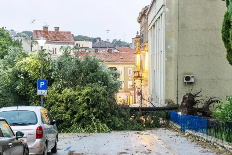 Nevrijeme protutnjalo dijelom Hrvatske: Pogledajte nevjerojatne prizore iščupanih stabala