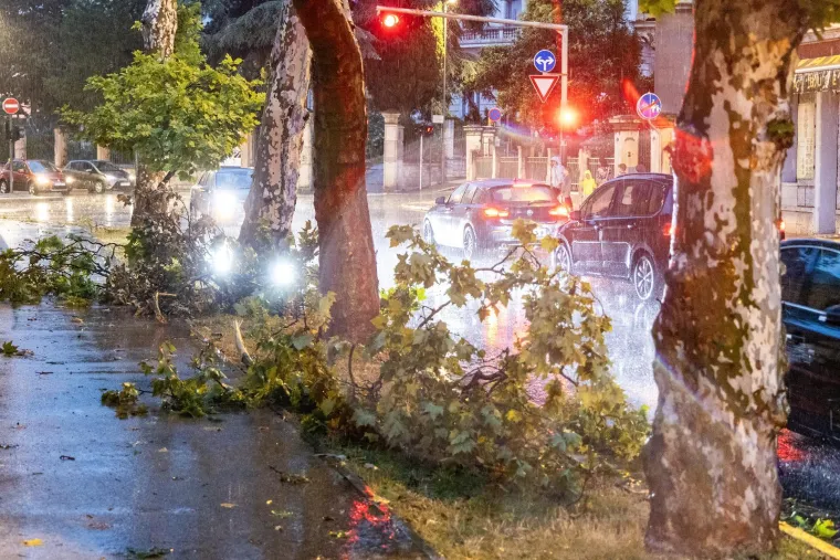 Nevrijeme protutnjalo dijelom Hrvatske: Pogledajte nevjerojatne prizore iščupanih stabala