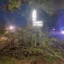 Nevrijeme protutnjalo dijelom Hrvatske: Pogledajte nevjerojatne prizore iščupanih stabala