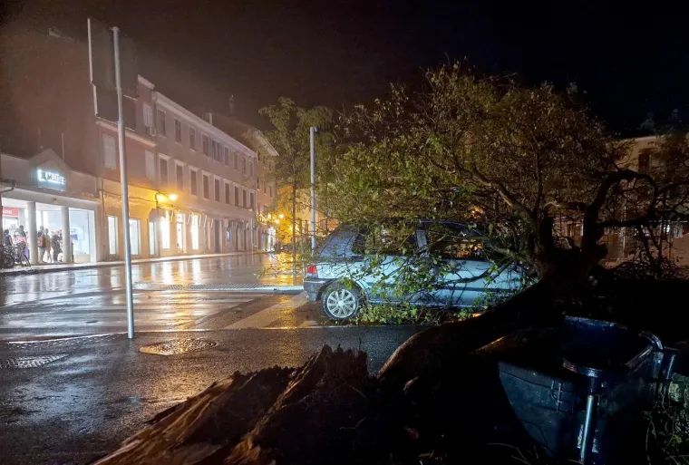 Nevrijeme protutnjalo dijelom Hrvatske: Pogledajte nevjerojatne prizore iščupanih stabala