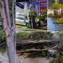 Nevrijeme protutnjalo dijelom Hrvatske: Pogledajte nevjerojatne prizore iščupanih stabala