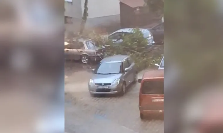 Zastra&scaron;ujuće posljedice razornog nevremena koje je poharalo Istru: Kao da je pro&scaron;ao tornado...