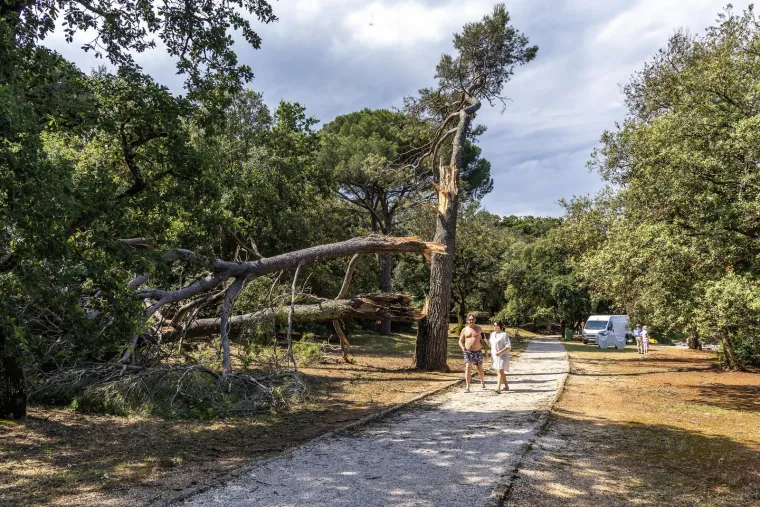 Zastrašujuće posljedice razornog nevremena koje je poharalo Istru: Kao da je prošao tornado...