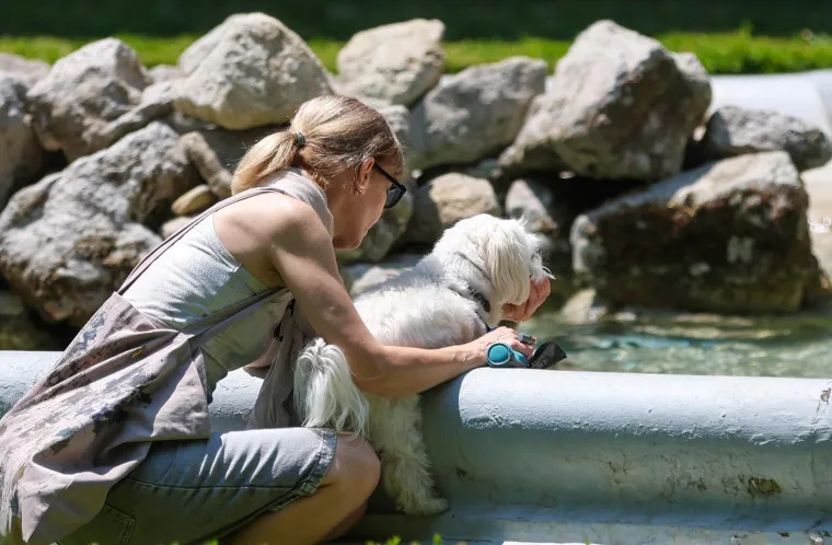 Neki rade, drugi odmaraju, ali svi gore na suncu: Pogledajte kako se Hrvatska topi na početku ljeta