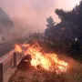 Spaljene životinje i auti, kuće u plamenu, prah i pepel: Pogledajte kakvu je pustinju ostavio požar