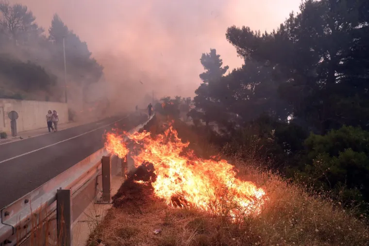 Spaljene životinje i auti, kuće u plamenu, prah i pepeo: Pogledajte kakvu je pustinju ostavio požar