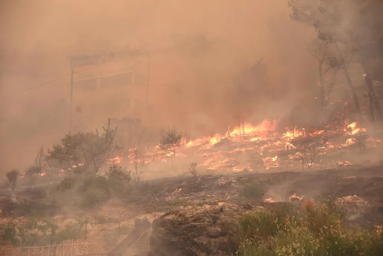 Spaljene životinje i auti, kuće u plamenu, prah i pepeo: Pogledajte kakvu je pustinju ostavio požar
