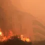 Spaljene životinje i auti, kuće u plamenu, prah i pepel: Pogledajte kakvu je pustinju ostavio požar