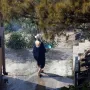 Spaljene životinje i auti, kuće u plamenu, prah i pepel: Pogledajte kakvu je pustinju ostavio požar