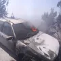 Spaljene životinje i auti, kuće u plamenu, prah i pepel: Pogledajte kakvu je pustinju ostavio požar