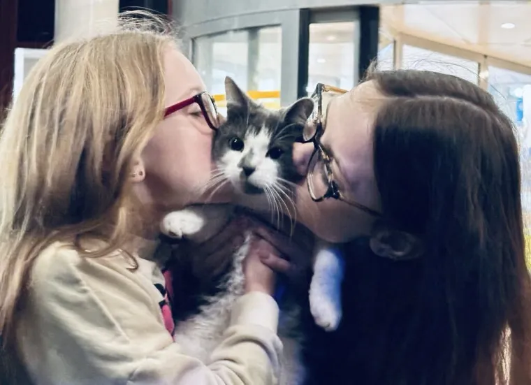 Nestala maca pronađena 640 kilometara od kuće! Otkriveno je kako je to genijalka uspjela izvesti