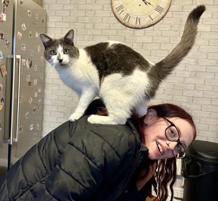 Nestala maca pronađena 640 kilometara od kuće! Otkriveno je kako je to genijalka uspjela izvesti