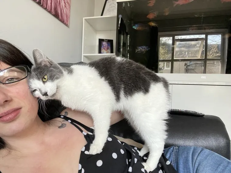 Nestala maca pronađena 640 kilometara od kuće! Otkriveno je kako je to genijalka uspjela izvesti